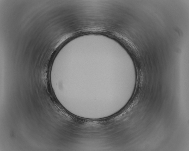 X0000112001162200908311108