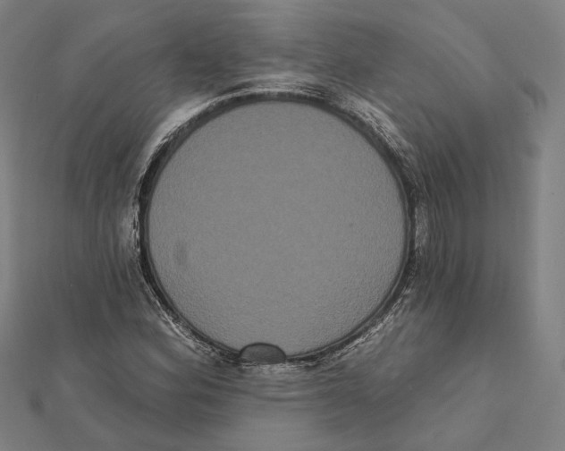 X0000112001164200908311108