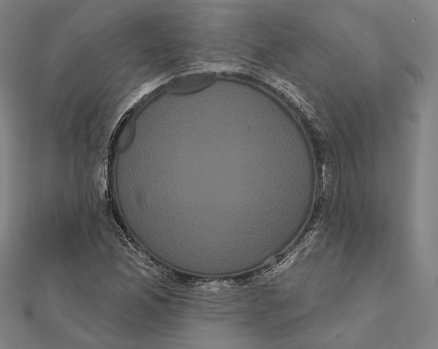 X0000112001165200908311108