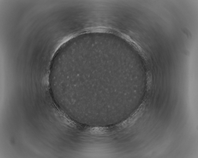 X0000112001166200908311108