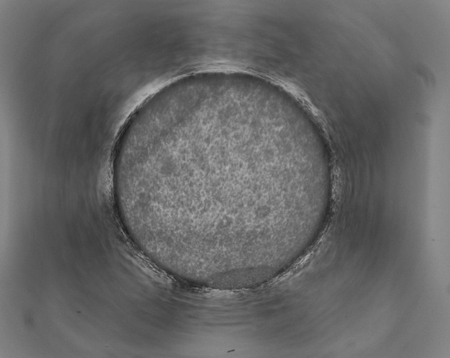 X0000112001167200908311108