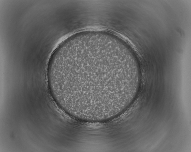 X0000112001168200908311108