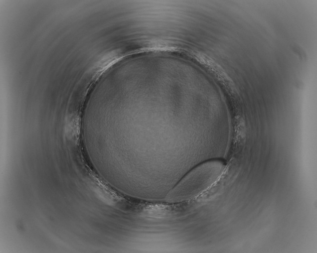 X0000112001169200908311108