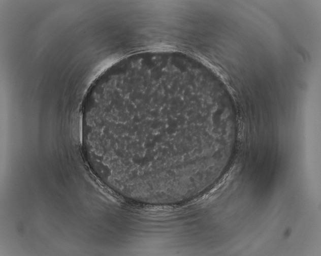 X0000112001171200908311108