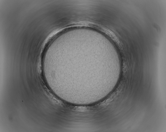 X0000112001172200908311108