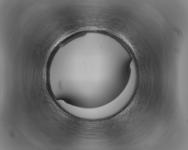 X0000112001173200908311108