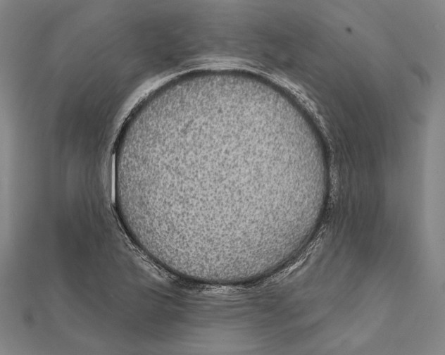 X0000112001175200908311108