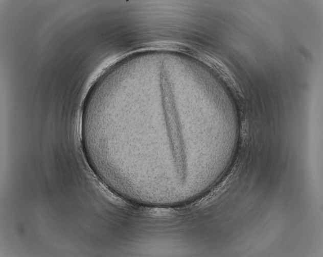 X0000112001180200908311108