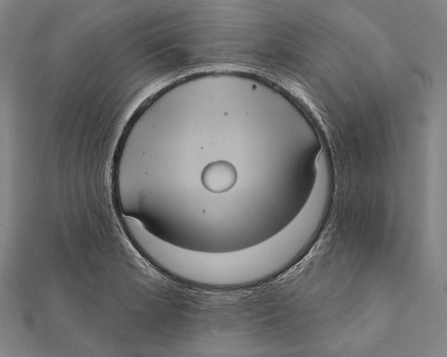 X0000112001181200908311108