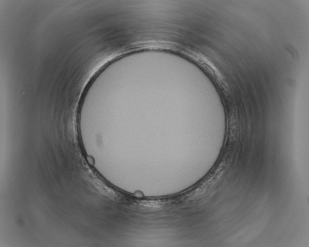 X0000112001182200908311108