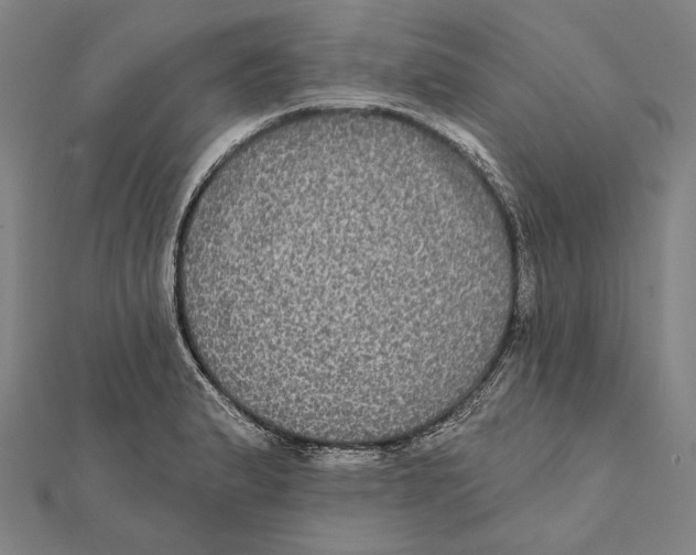 X0000112001183200908311108