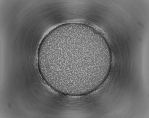 X0000112001184200908311108