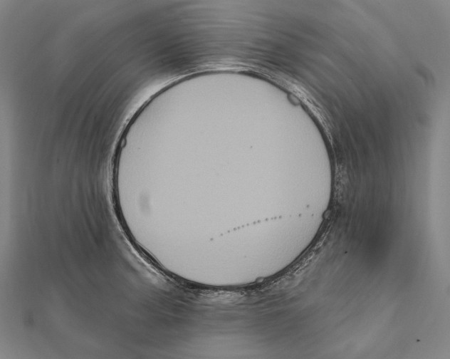 X0000112001187200908311108