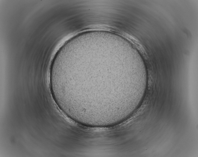 X0000112001188200908311108