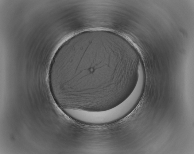 X0000112001189200908311108