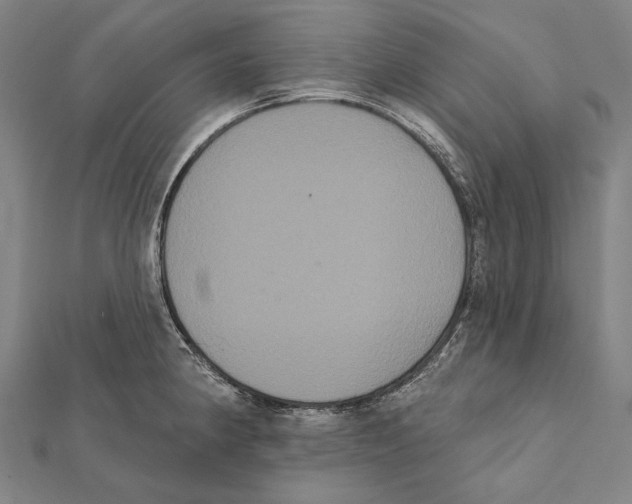 X0000112001190200908311108