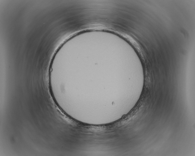 X0000112001191200908311108