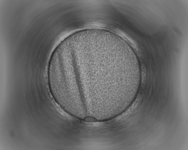 X0000112001192200908311108