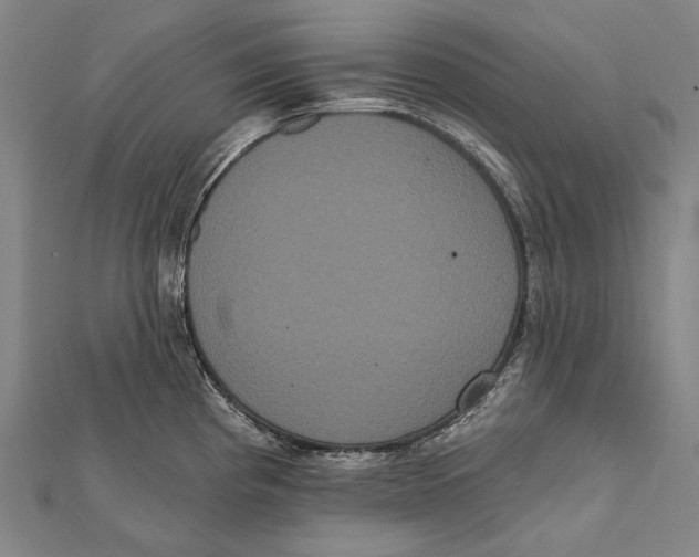 X0000112001193200908311108