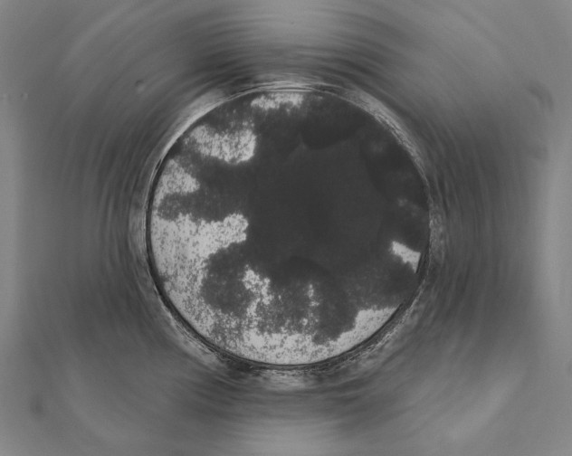 X0000112001194200908311108