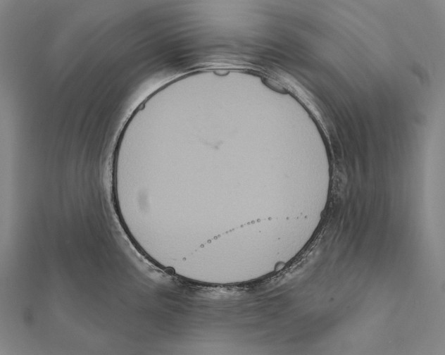 X0000112001195200908311108