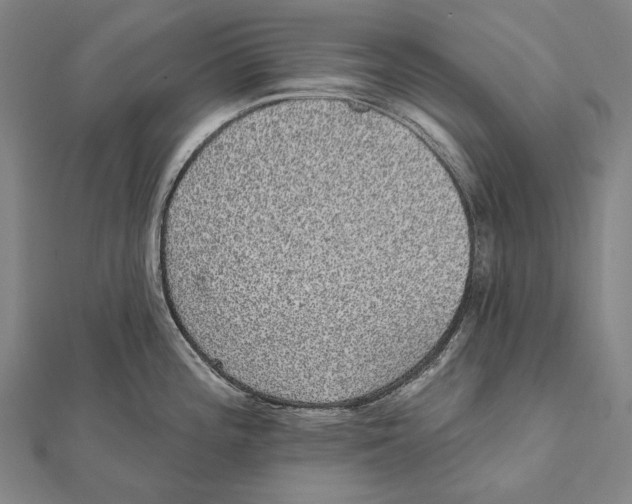 X0000112001196200908311108