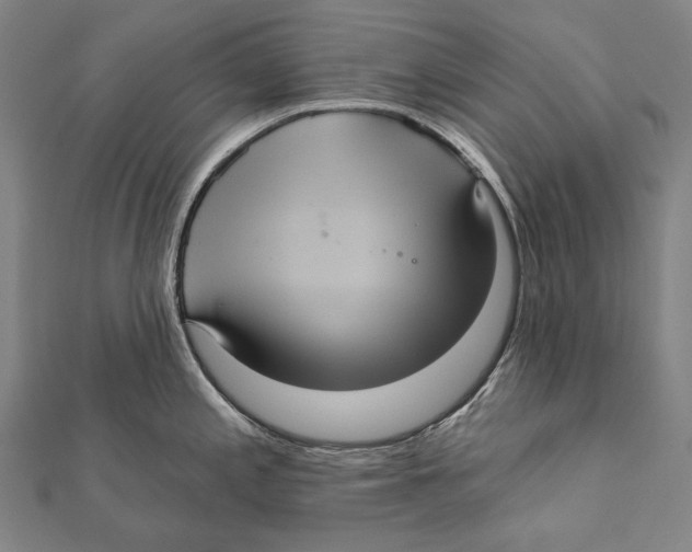 X0000112001197200908311108