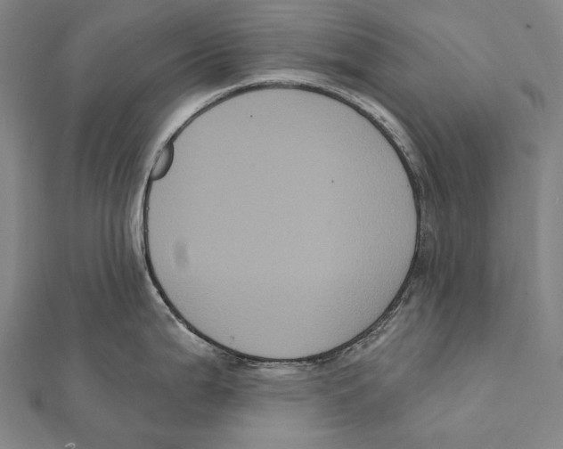 X0000112001199200908311108