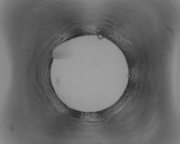 X0000112001201200908311107