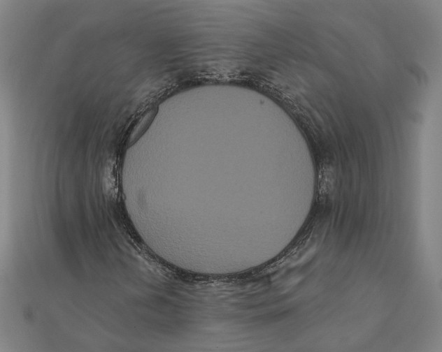 X0000112001202200908311107