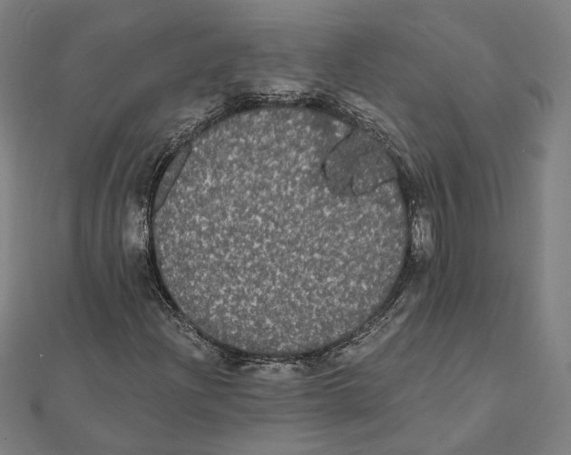 X0000112001204200908311107