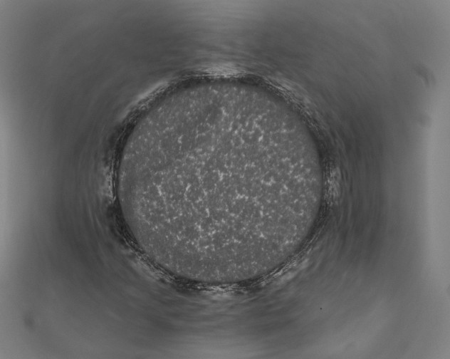 X0000112001205200908311107