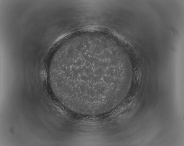 X0000112001206200908311107