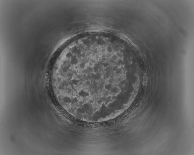 X0000112001208200908311107