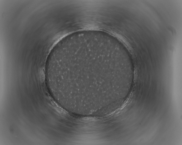 X0000112001212200908311107