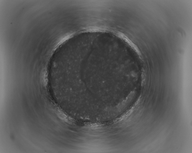 X0000112001213200908311107