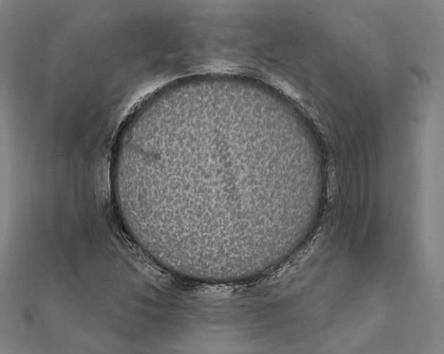 X0000112001214200908311107