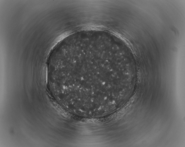 X0000112001219200908311107