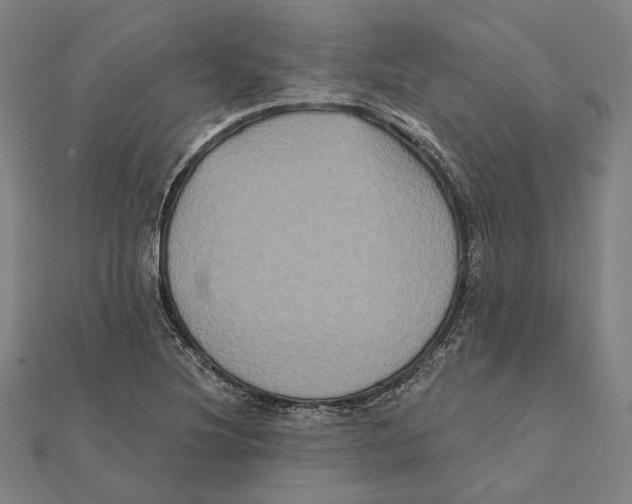 X0000112001220200908311107