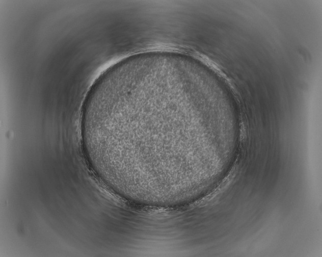 X0000112001222200908311107