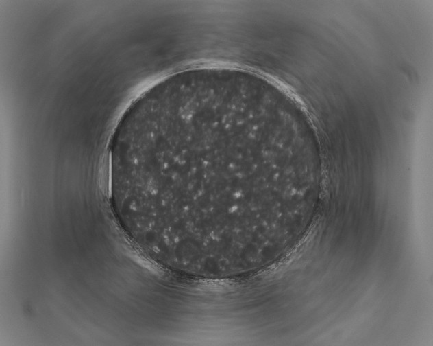 X0000112001223200908311107