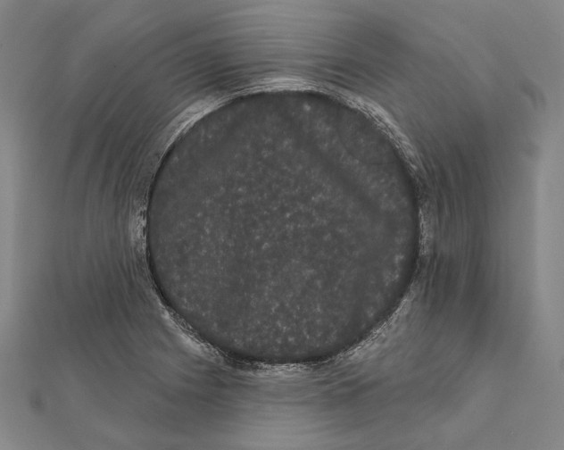 X0000112001225200908311107