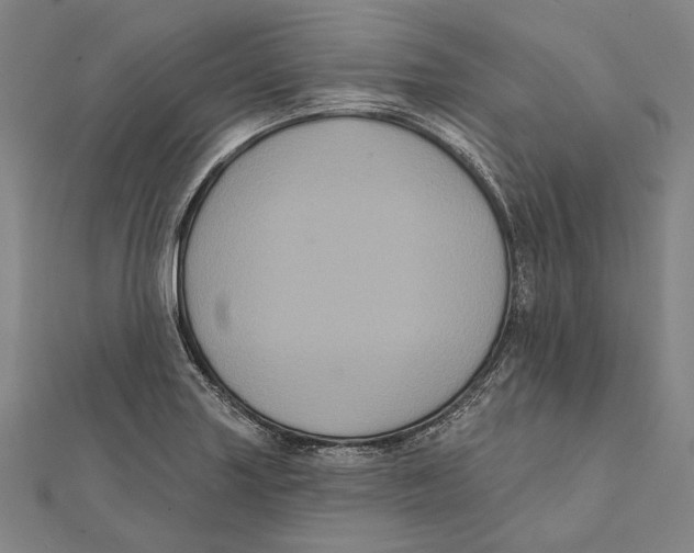 X0000112001227200908311107