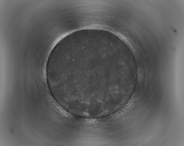 X0000112001230200908311107