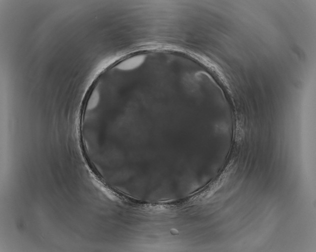 X0000112001231200908311107