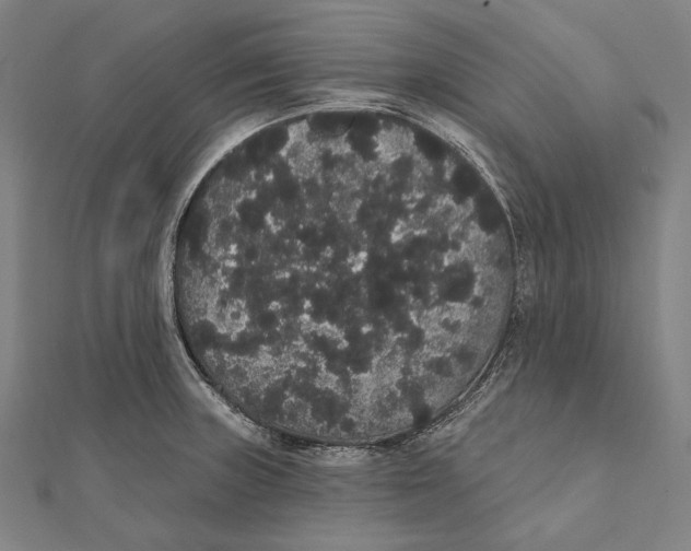 X0000112001235200908311107