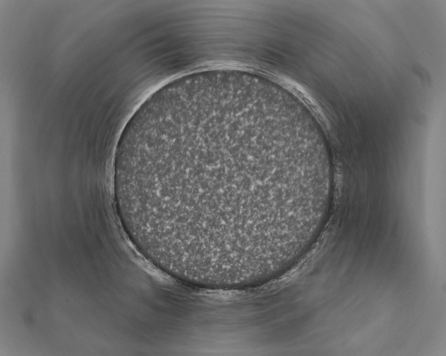 X0000112001236200908311107