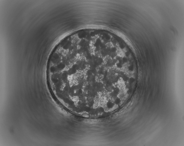 X0000112001237200908311107