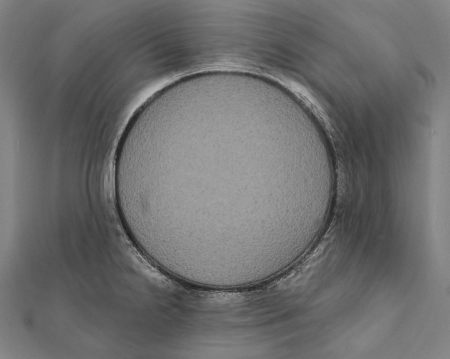 X0000112001238200908311107