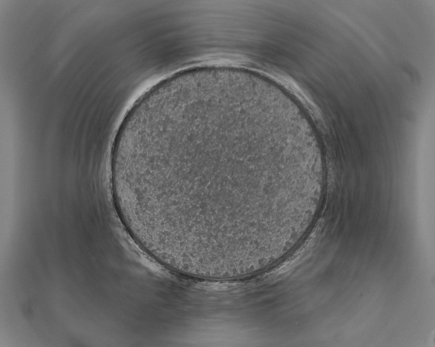 X0000112001240200908311107